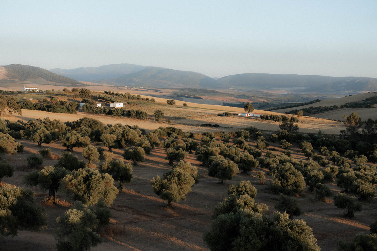 Mallorca Wedding-222