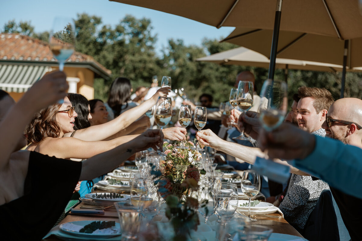 NatalieAnnSchaefer_Bay_Area_Wedding_Photographer_Villa_Colibri_Sonoma_California_Backyard_Wedding-38