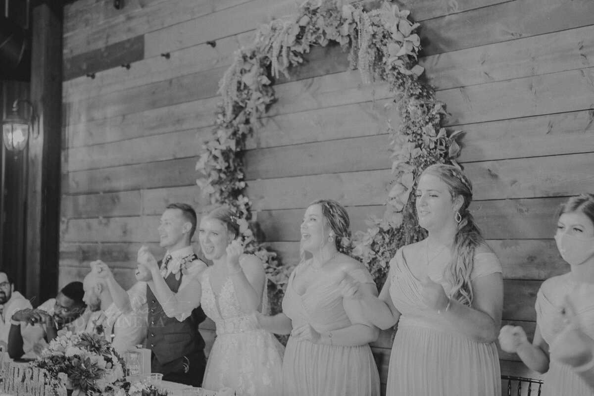 reception _ alaynna ann schwartz _ harpors vinyard _ iowa photographer _ playlife photography_0433