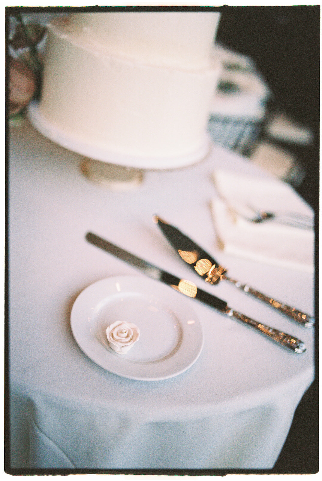 Reggie & Austin Wedding Film WF100