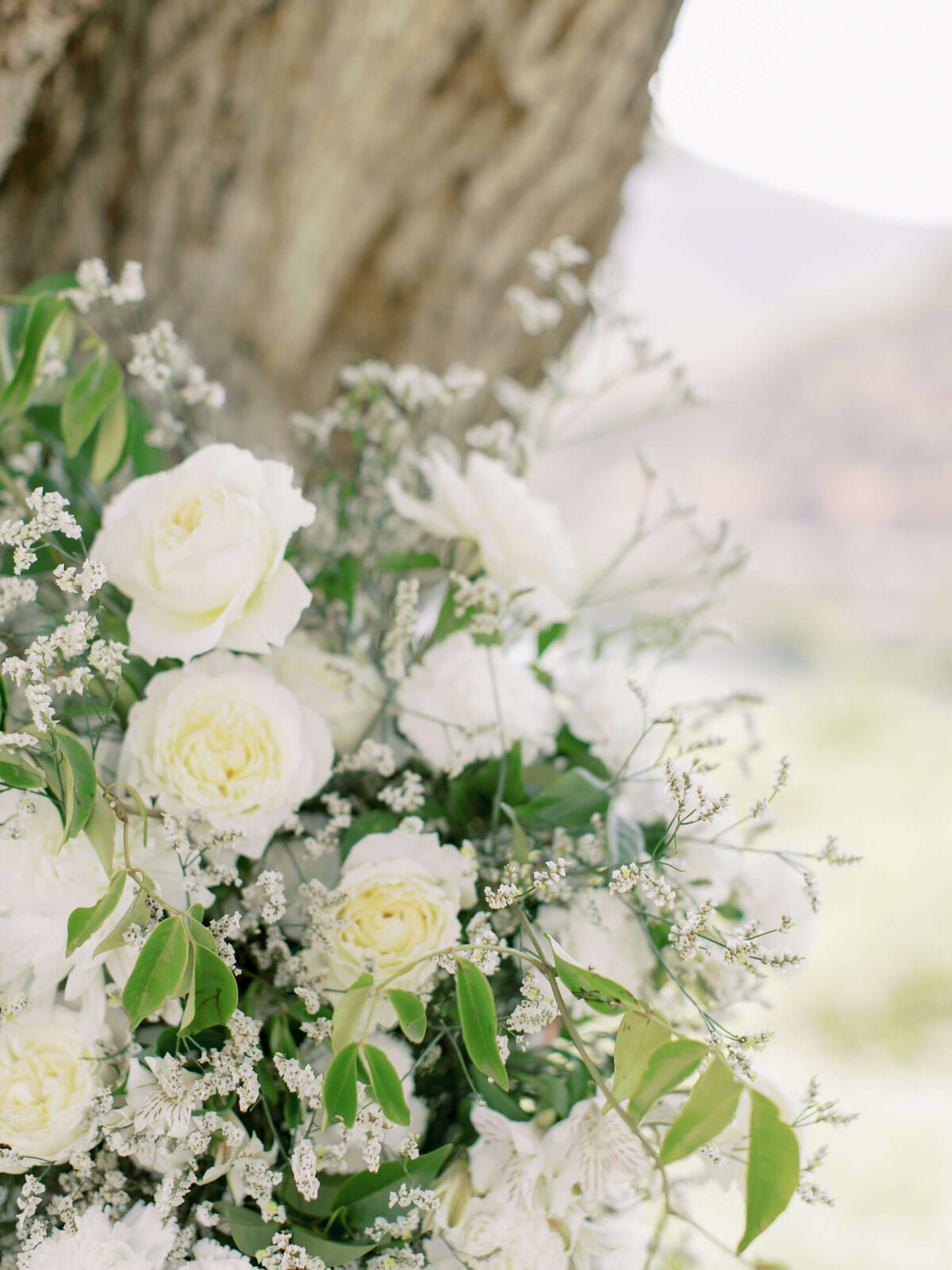 Diane Sotero Photography_Douro Valley_Portugal_Wedding_Quinta Ventozelo_189