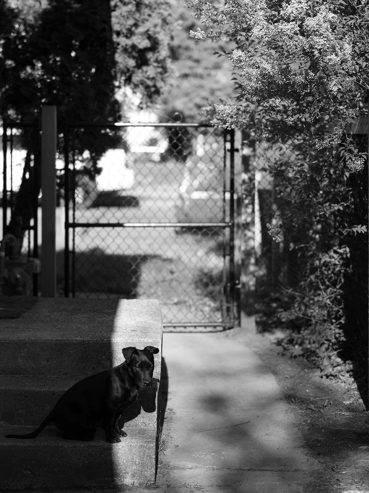 loui_photography_personal-4