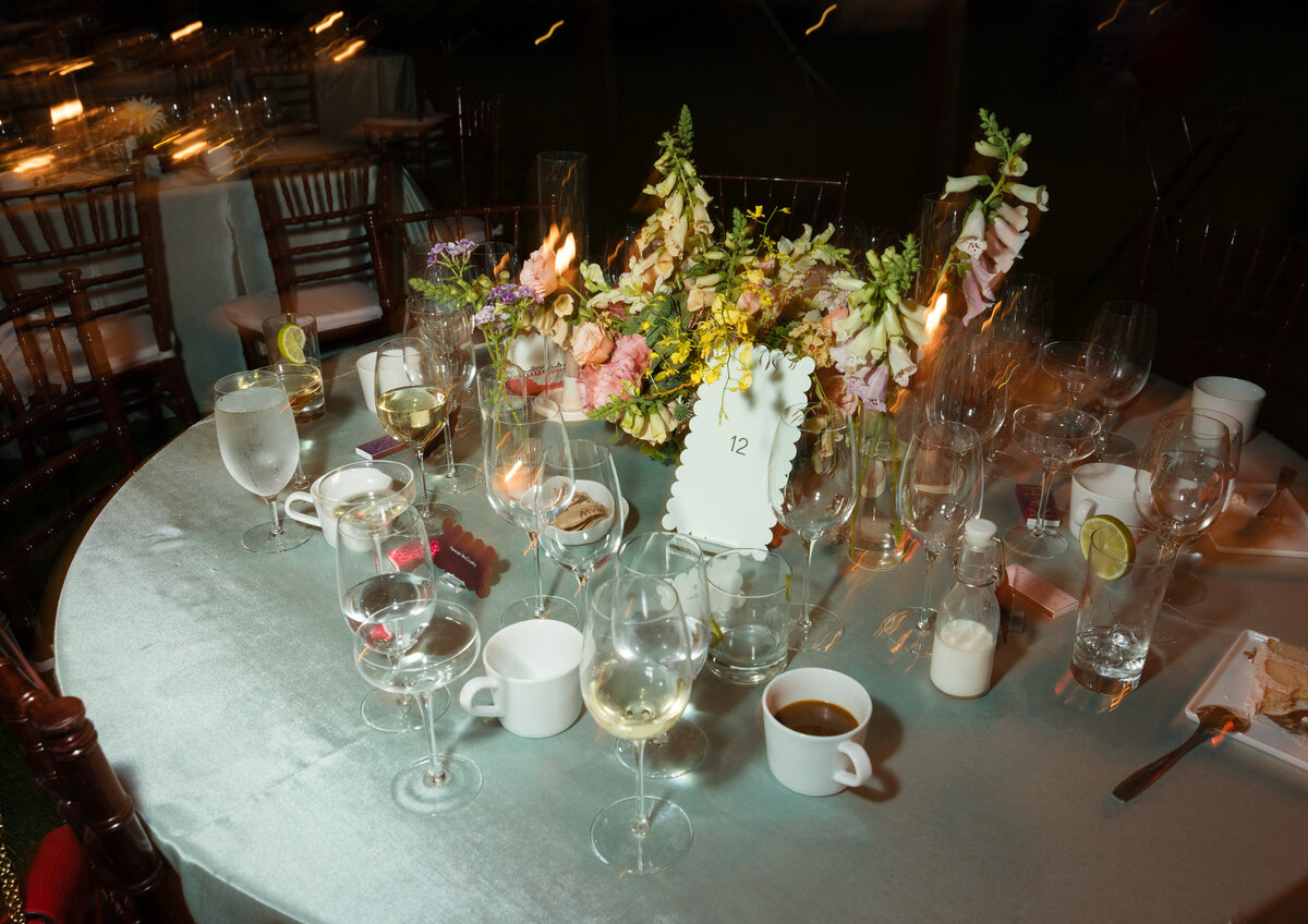 Lake-Minnetonka-wedding-Will-DeGraw-Clever-Disarray-103