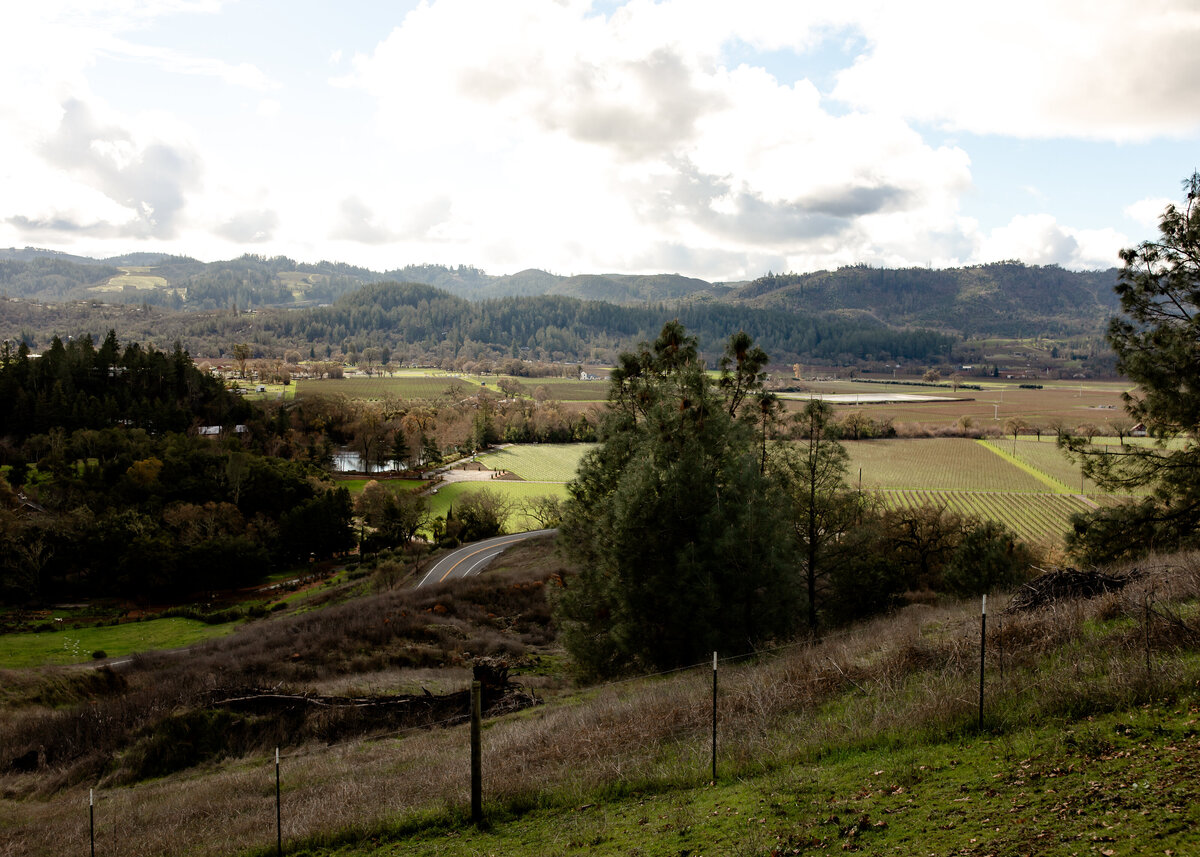 12302023_McKenna+TaylerWedding_CalistogaCA_AnjaJensenPhotography-86