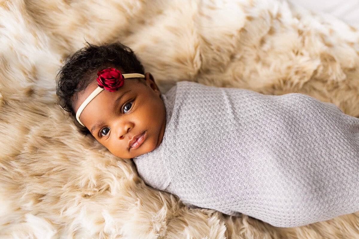 Newborn baby girl in a grey wrap and red flower bow laying on a fuzzy blanket