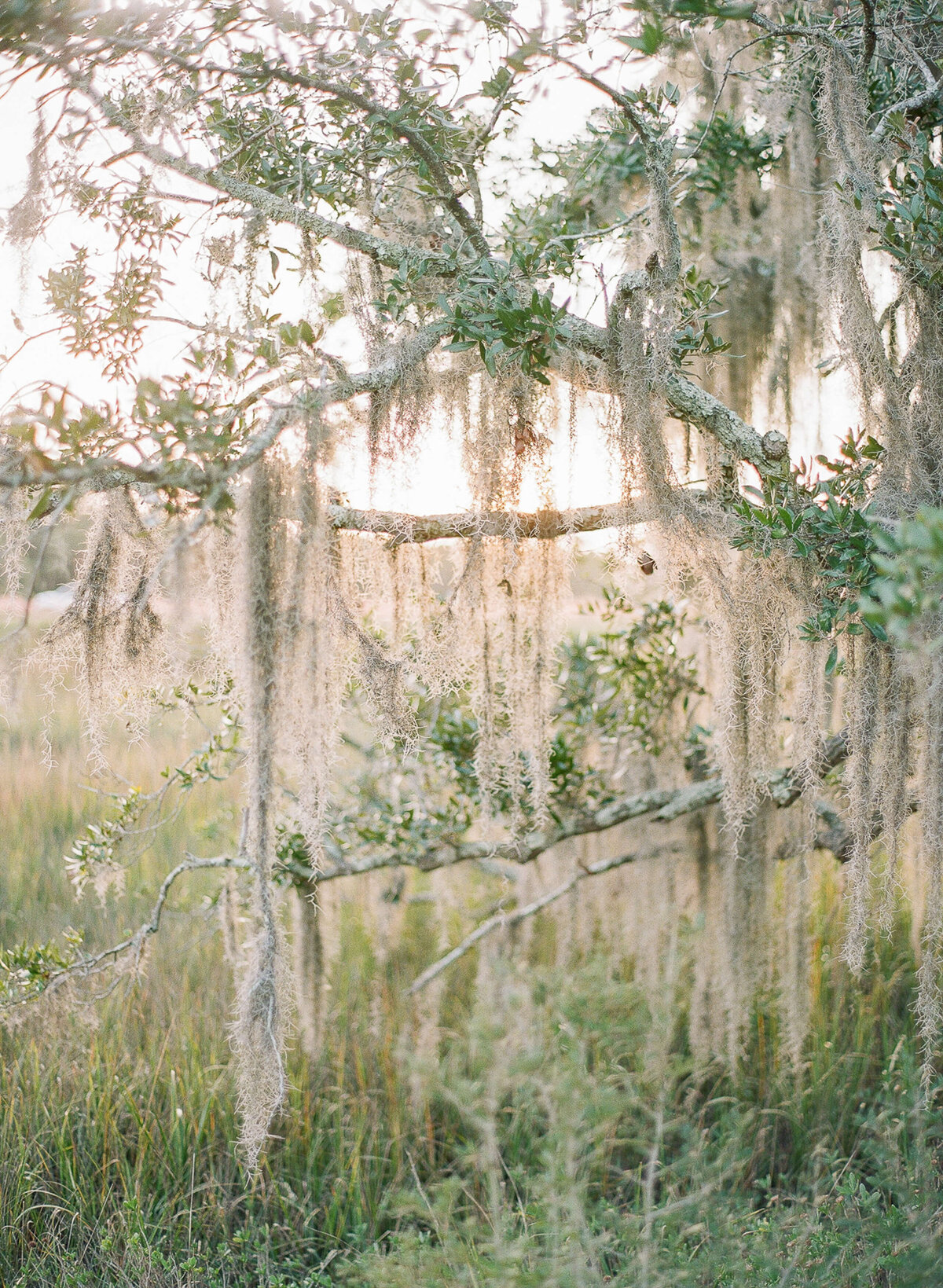 kiawah-river-wedding-clay-austin-photography-82