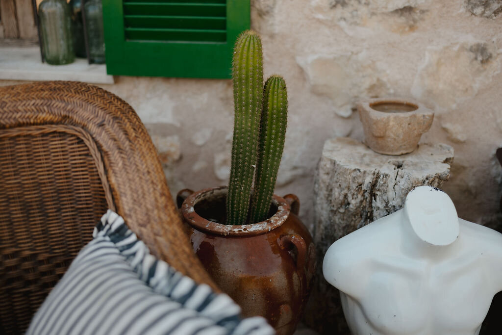 THE AWAKENING ° MIMI FIEDLER  ° FOURTYSEVEN