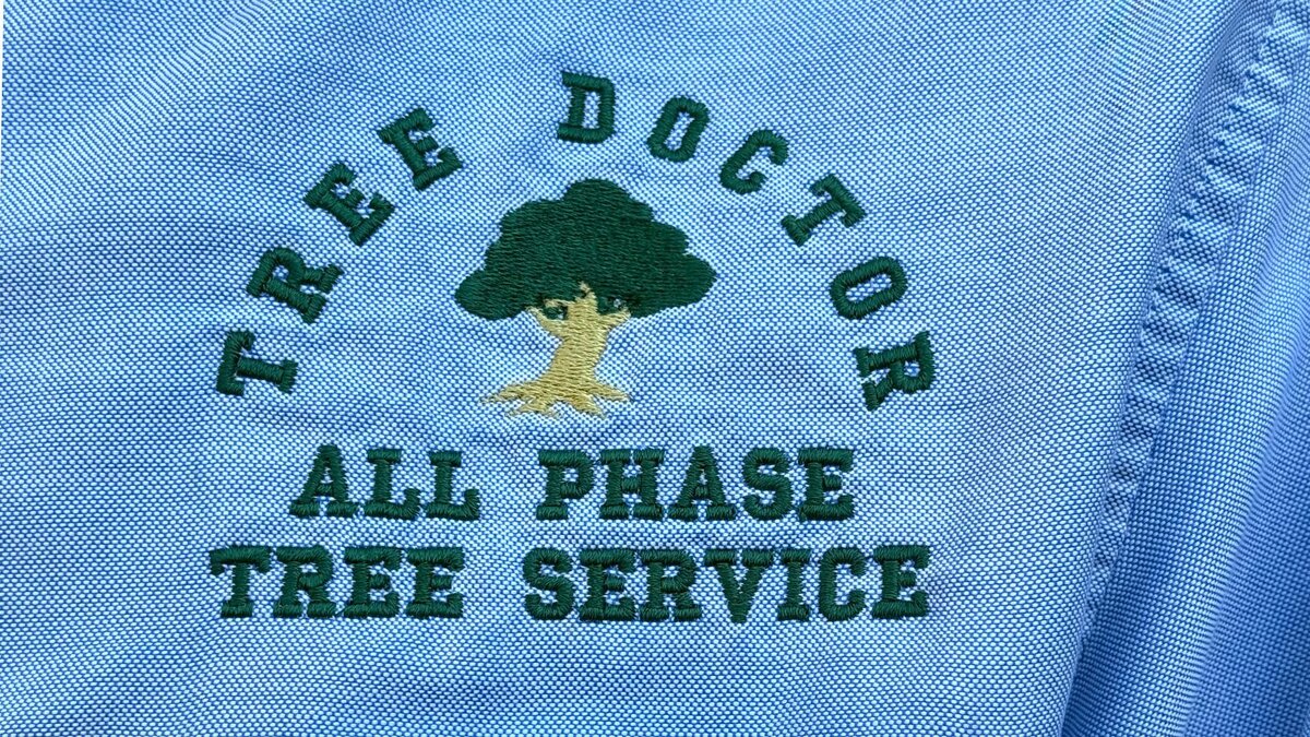 16:9 Tree doc Logo