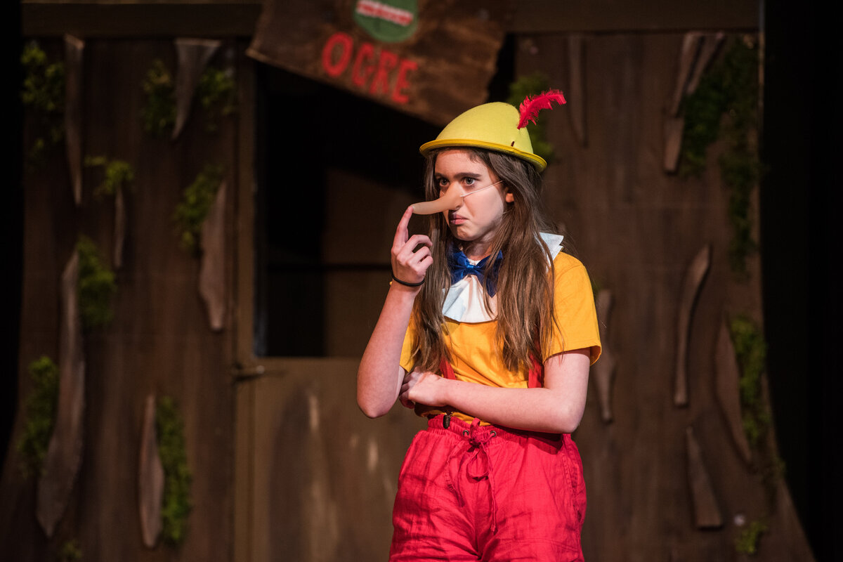 Linnea_Farnsworth_Photography_Washington_DC_Northern_Virginia_Musical_Stage_Photography_32