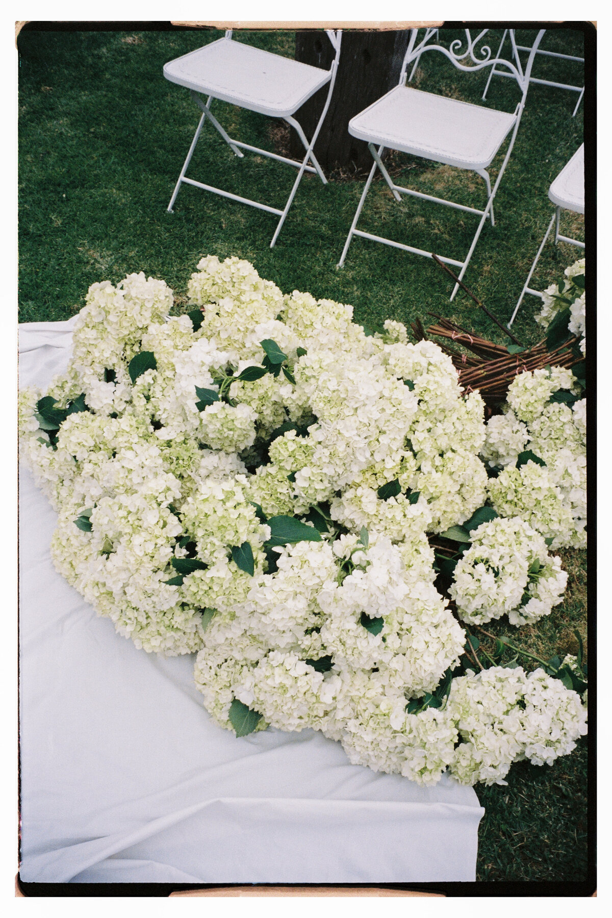 Maegan-Brown-Moments_231103_Wedding_Lauren-Bernie_Frolic-Lane_35mm-Film-Scans_0005-2