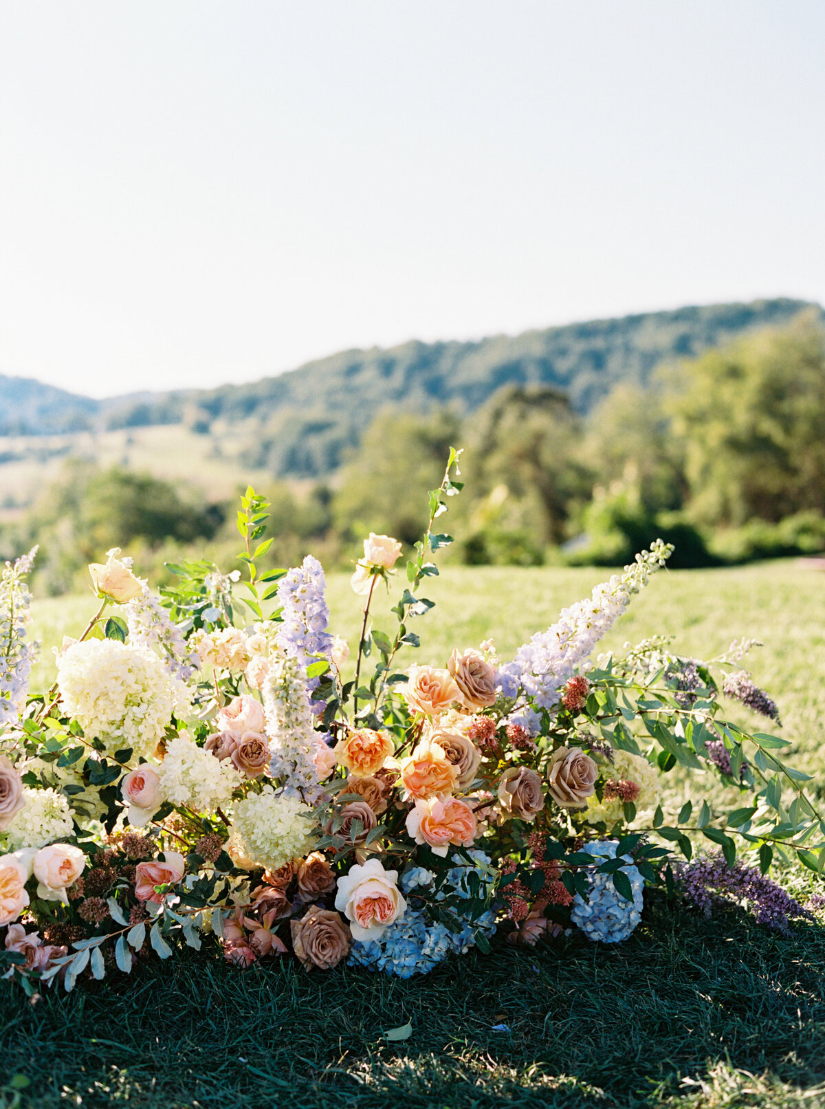 pippin-hill-wedding-katieanderic-danielle-james-photography-16