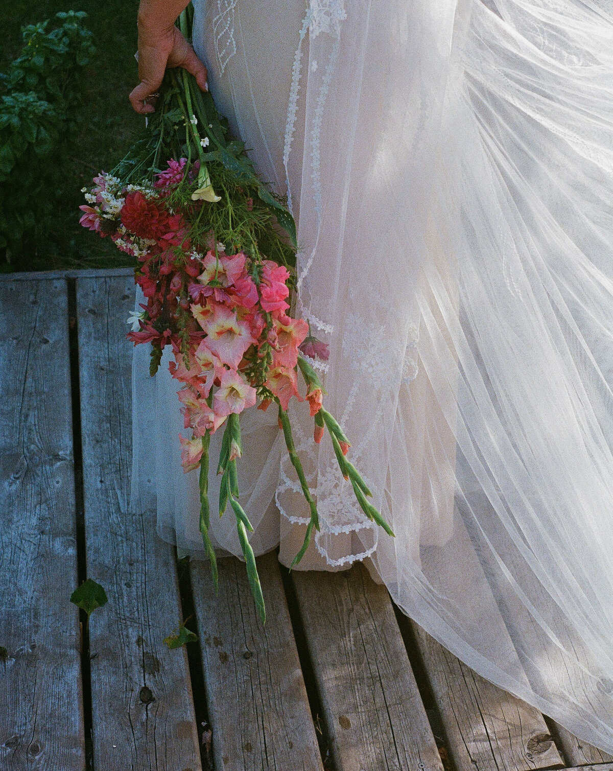 Chantal + Chris July 21, 2025-5