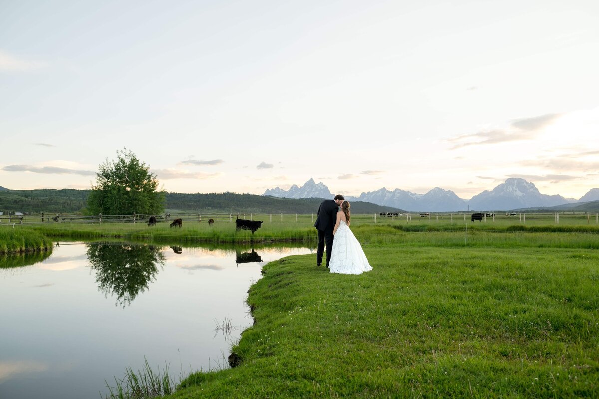 Horse pasture wedding portraits at Diamond Cross Ranch