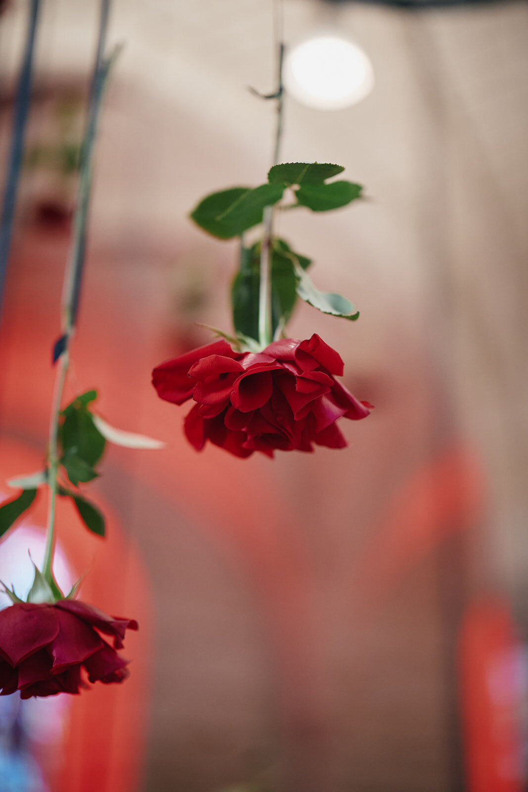 CURATEWEDDINGS 115