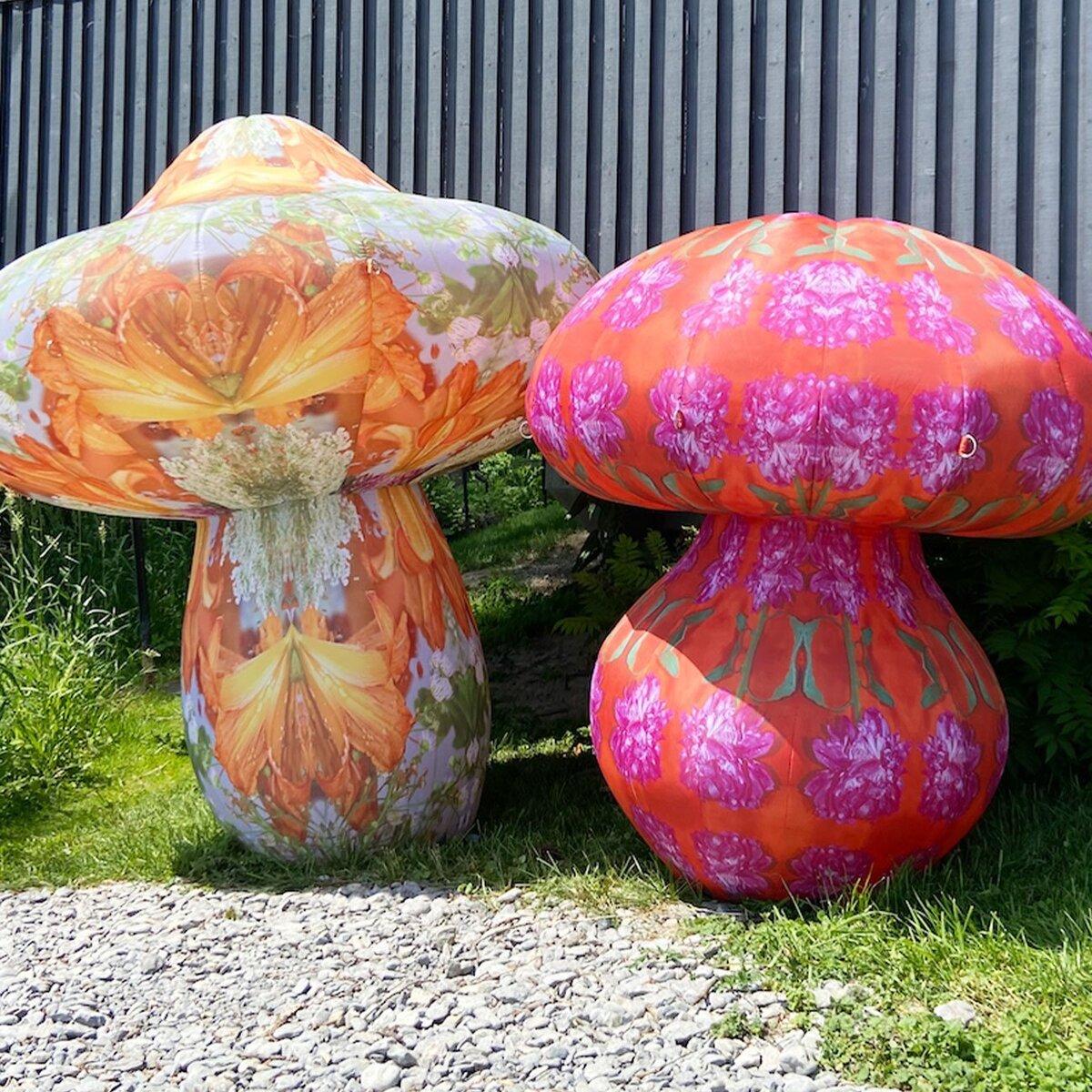 Nicole Mushrooms 3