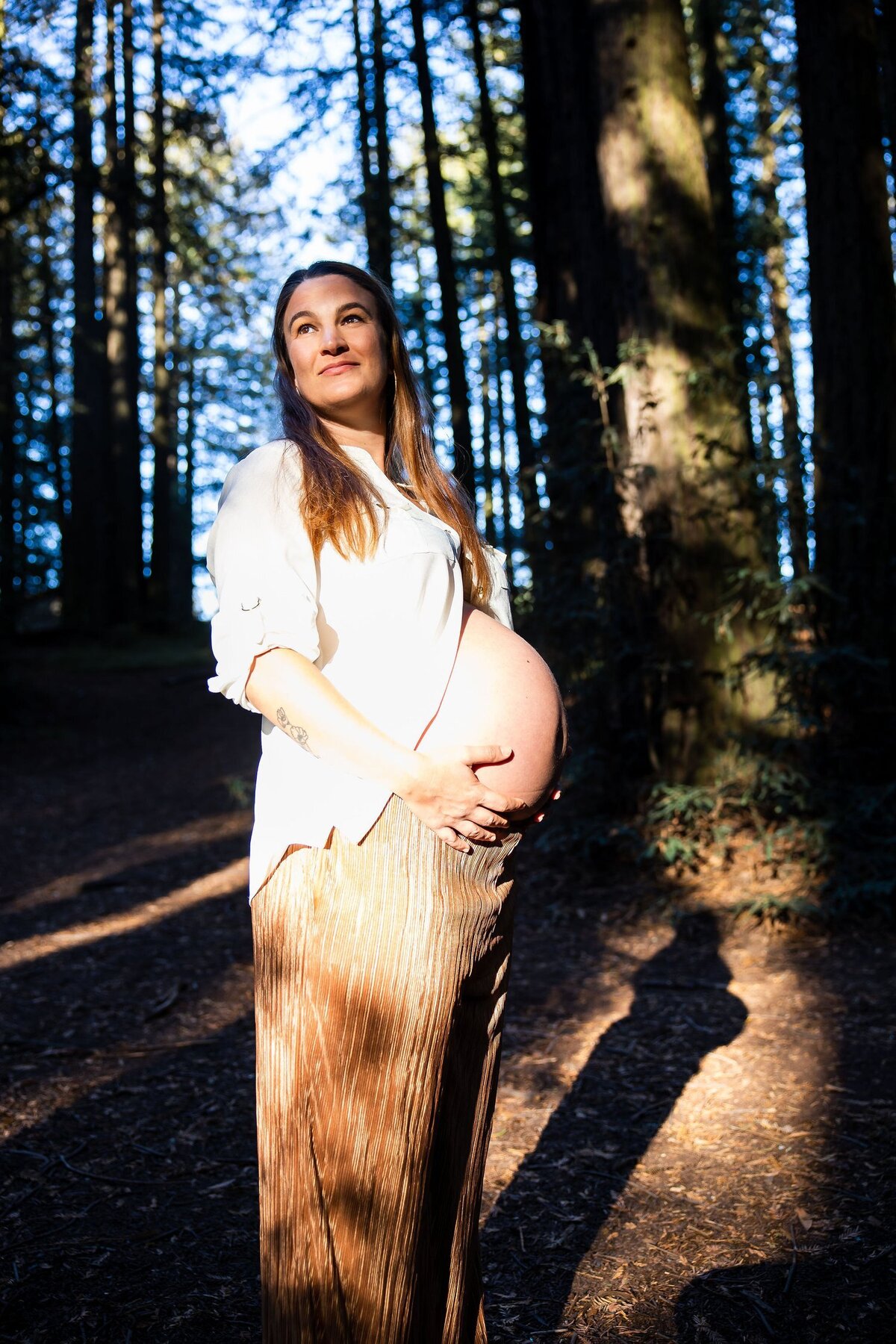 Mother grasps her pregnant stomach in the redwood grove
