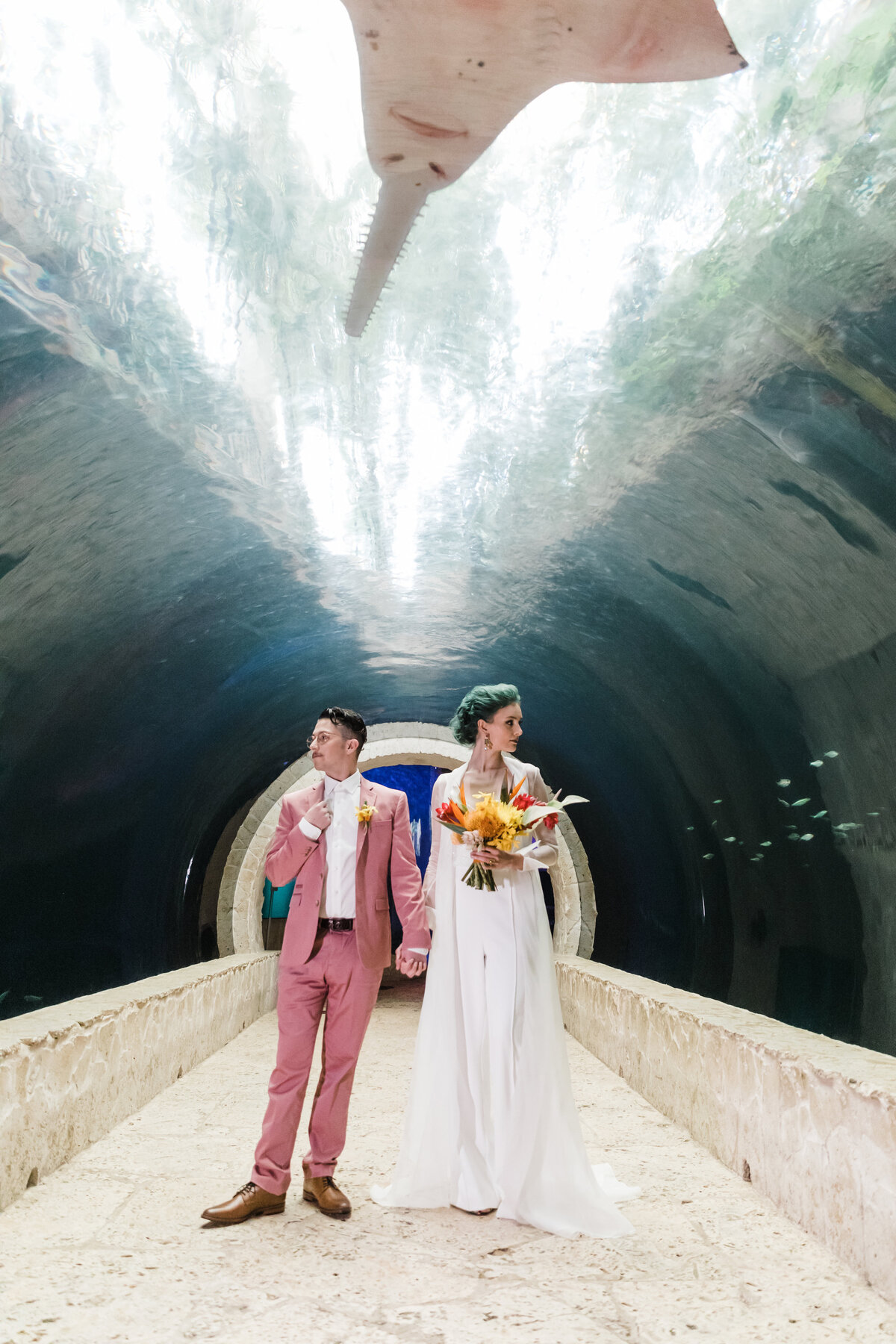 Dallas Aquarium Nimbus Events Wedding Planning Tropical Shark Tunnel