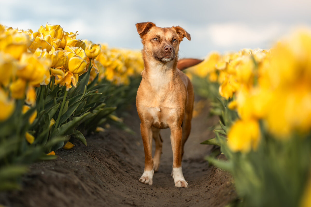 20240421Gernettefotografie3