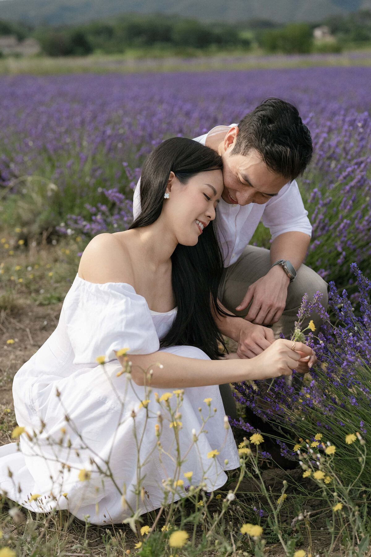 Pre wedding lavender photo shoot in the Luberon