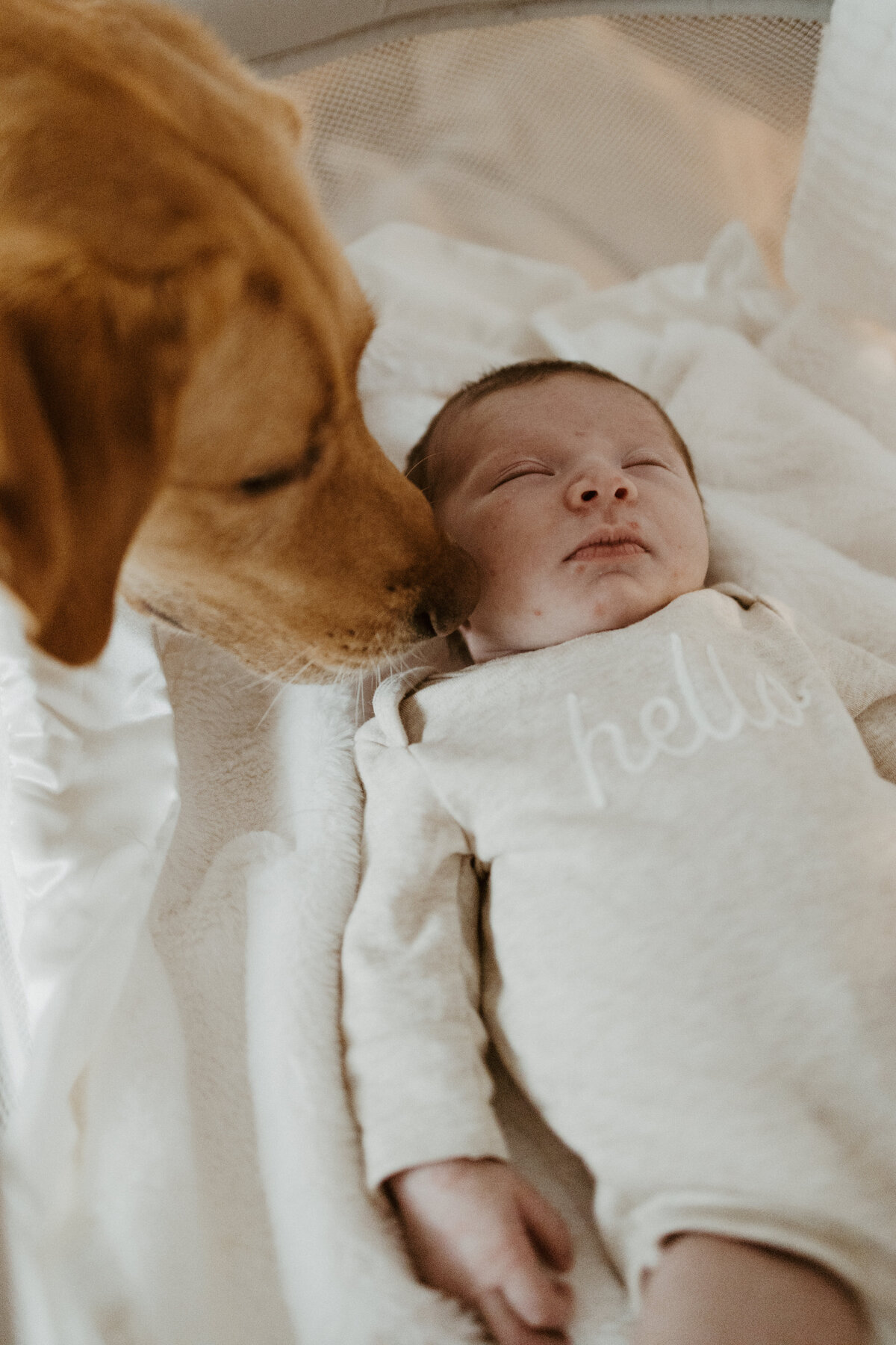 Seattle based motherhood, newborn and family photographer.