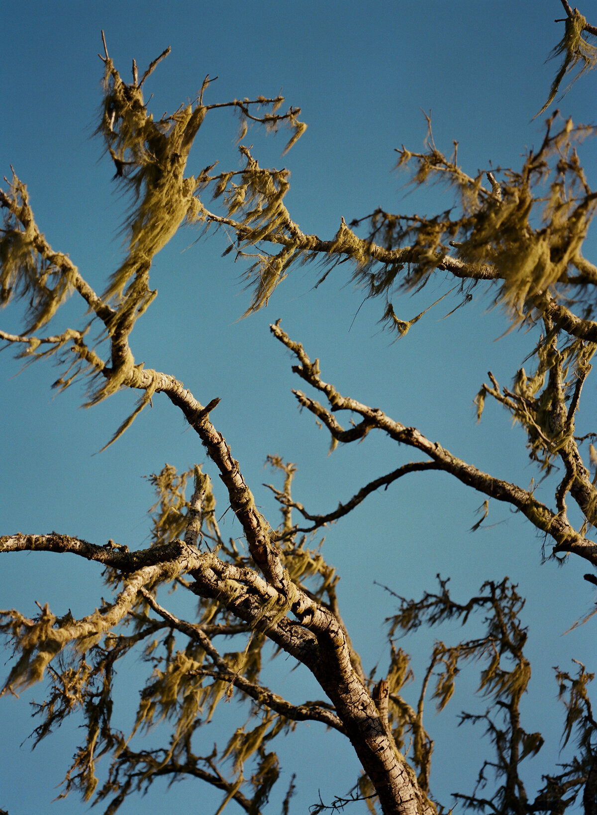 DT-2025-Kelcie&StevenPreview-85