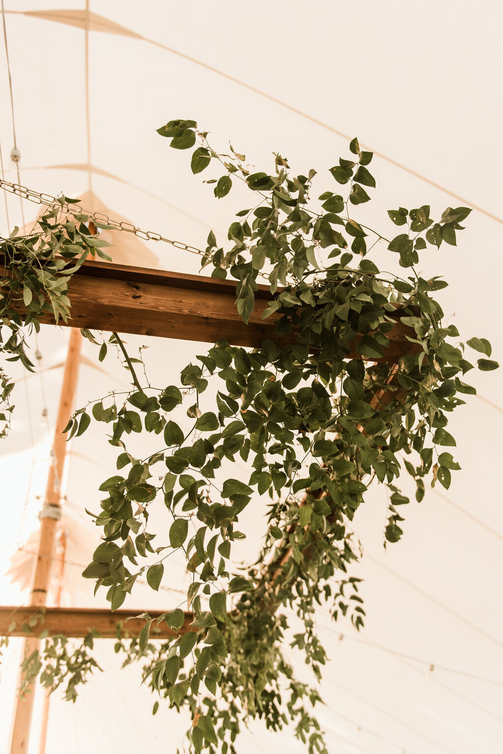 sperry-tent-lighting-at-stone-acres-farm-2