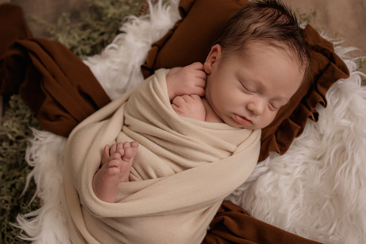 smith-newborn-3