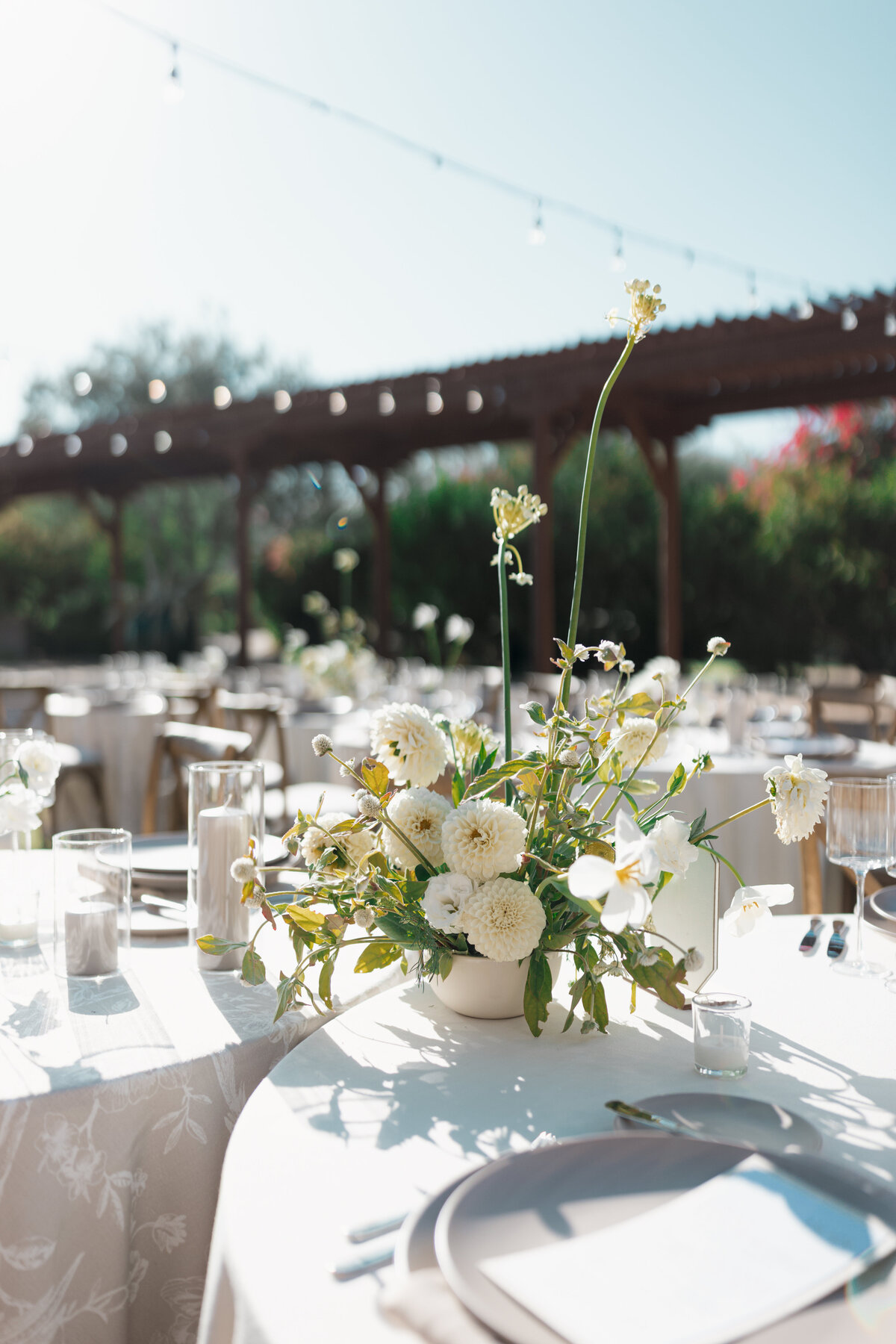 Arizona Wedding Photographer 5