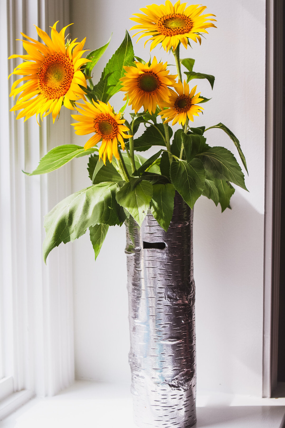 sunflower-garden-flowers
