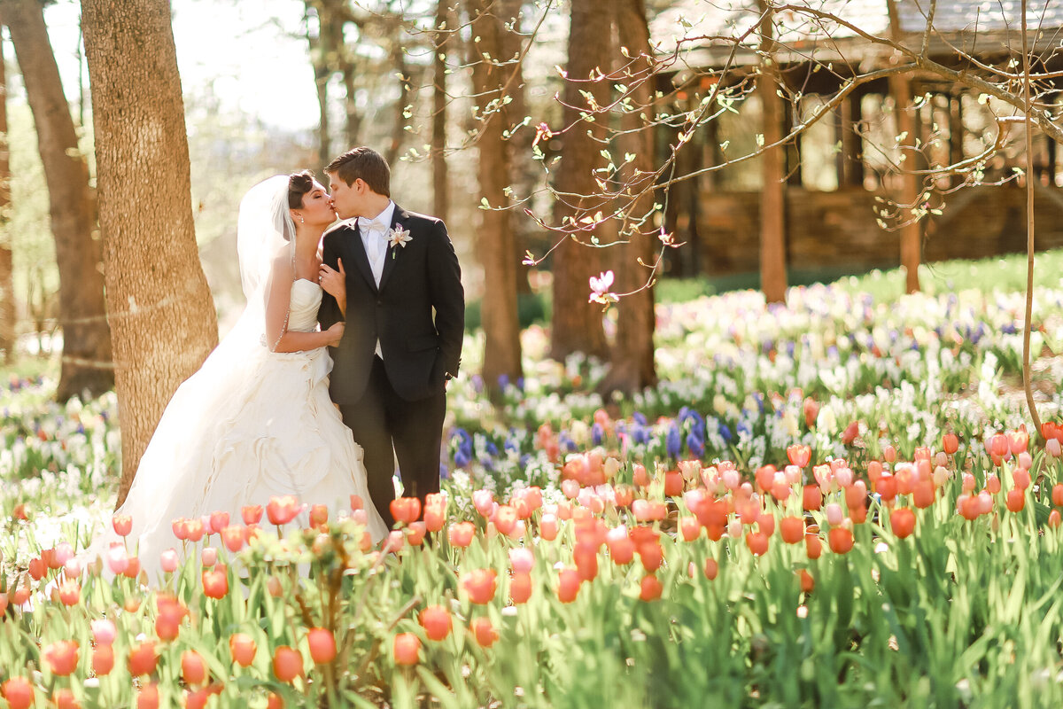 timeless-wedding-portrait-in-tulips-at-garvan-gardens
