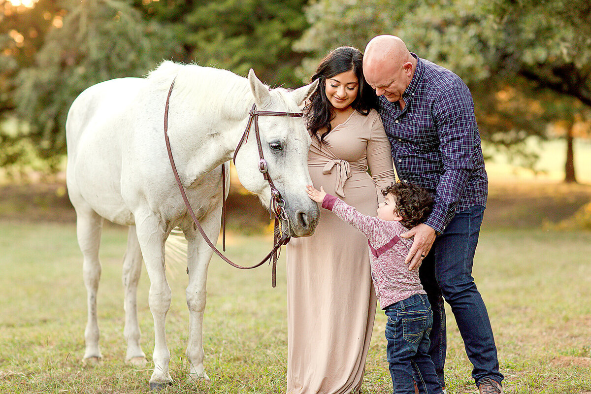 Jenny Havens Photography Dallas Texas Newborn Photographer Studio Motherhood Family Baby Custom Heirloom Imagery Light Airy Luxury JHP 10.11.20 02 WEB
