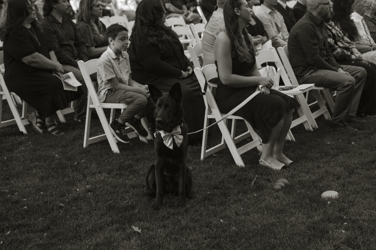 boise-idaho-wedding-hackwellphotoco-457