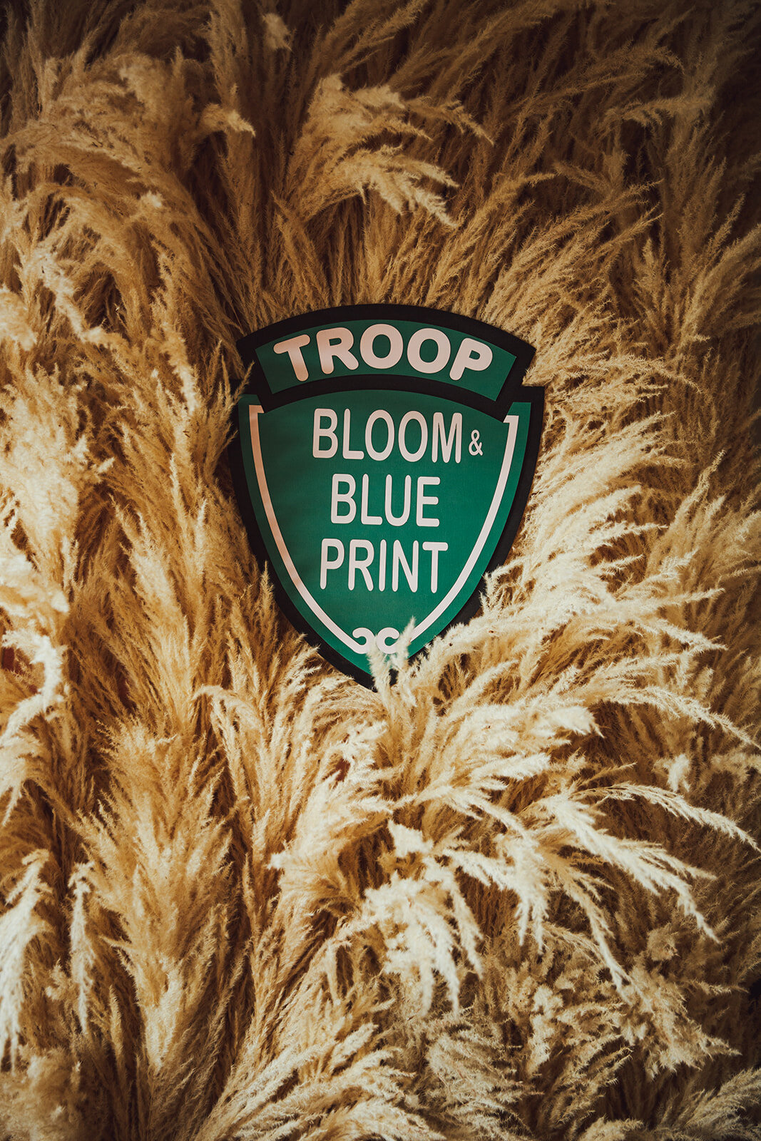 Theme-TroopBB37