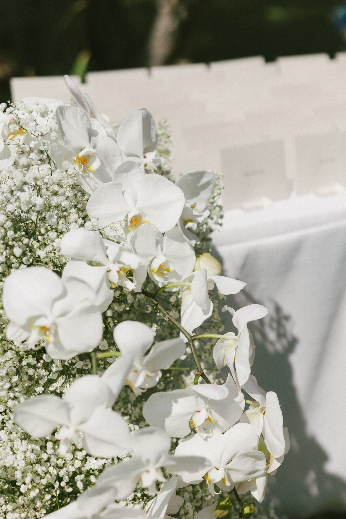Cielo Farms Wedding | Gabi + Andrew