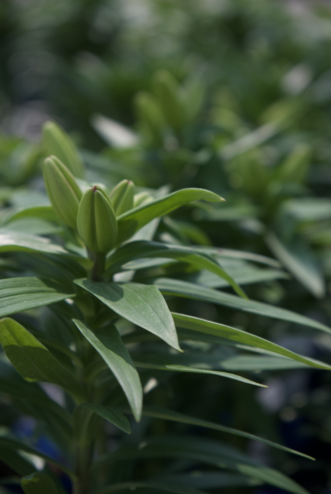 Screenshot 2025-07-21 at 12.22.58 AM