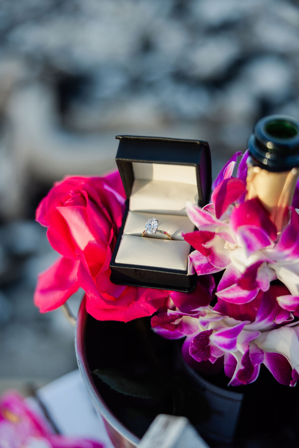 Hawaii-Proposal-Big-Island-Engagement (53)