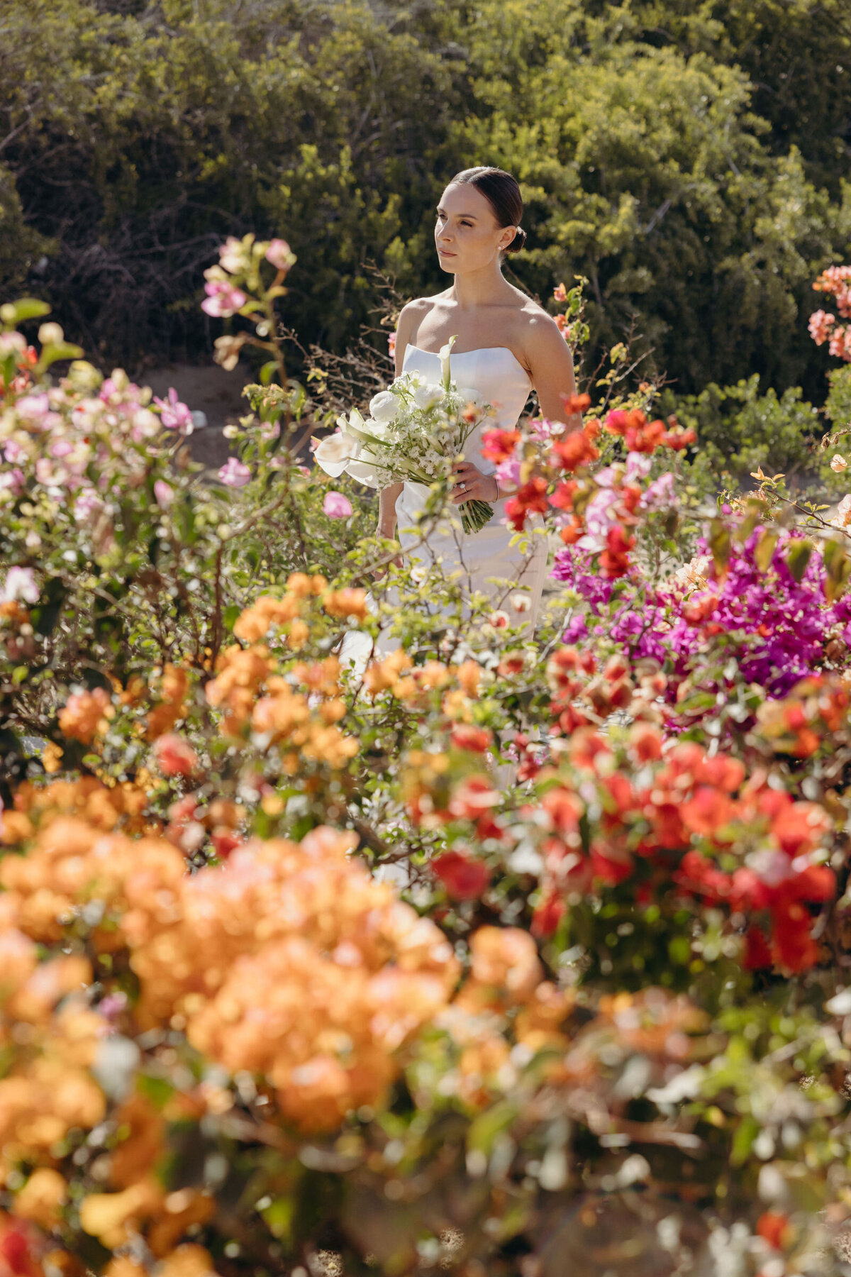 Todos-Santos-Wedding-6
