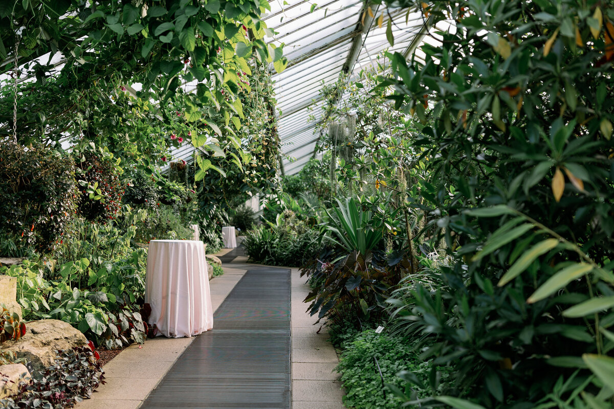 Kew-Garden-Wedding-Photographer-85