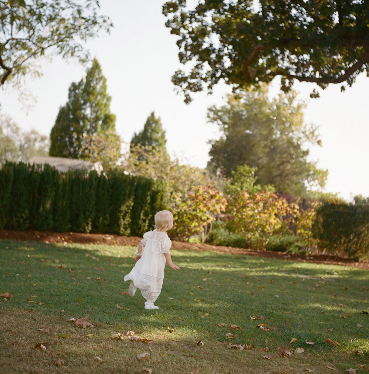 Ariel+Cameron+Photography+ORGANIC+26