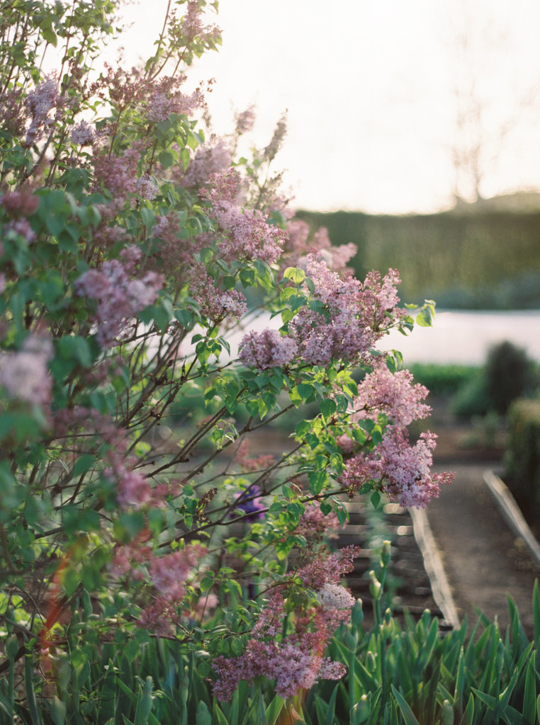 LynnDunston_Kestrel_Park_Engagement-28