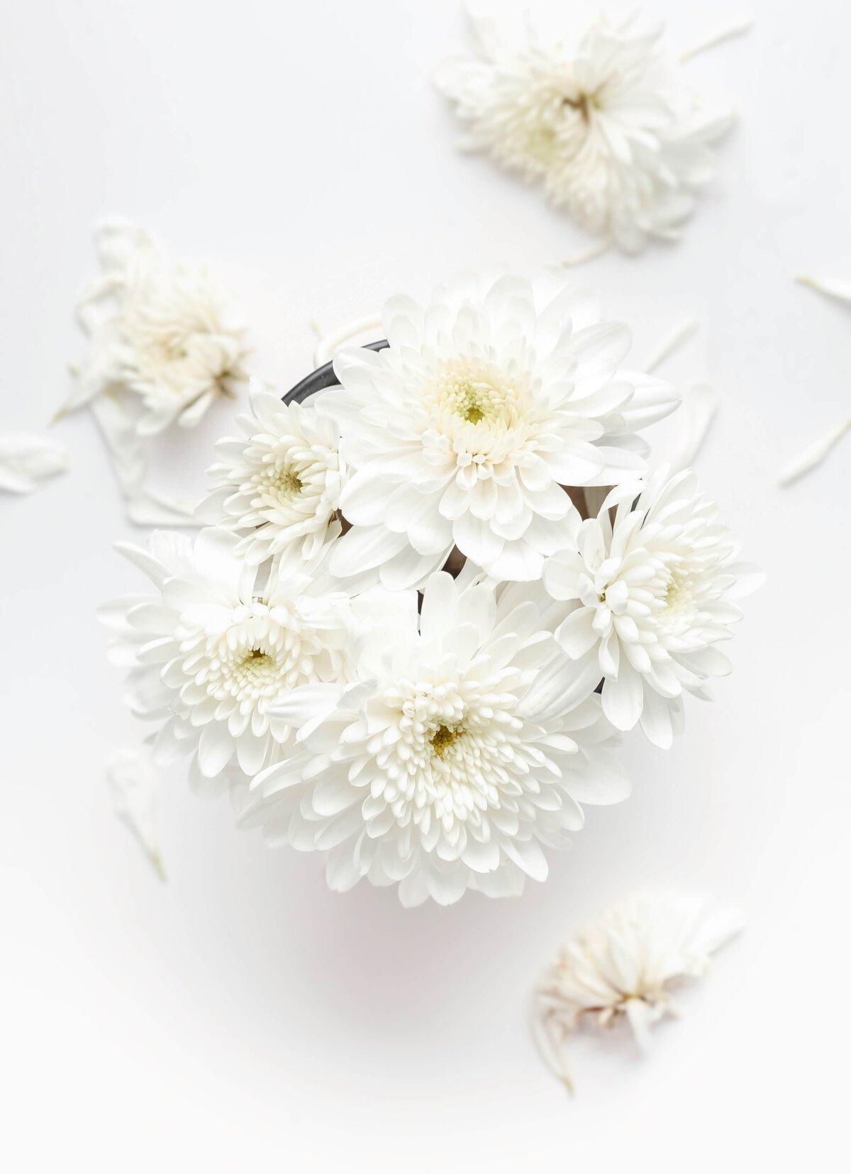 hisu-lee-AbkBVd1gbVA-unsplash