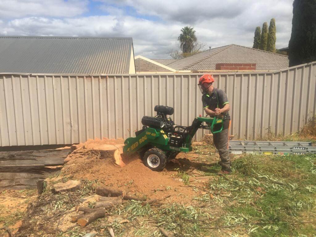 Evergreen Tree Services SA-Stump Grinding-004