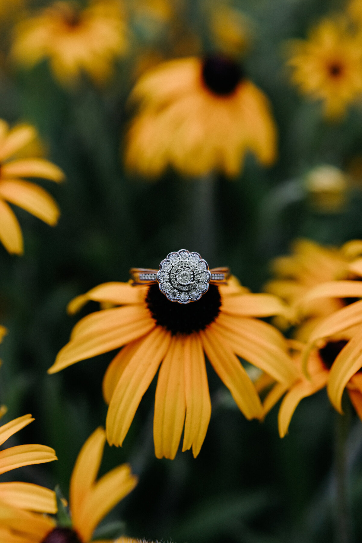 charlotte+michaelengagement-261