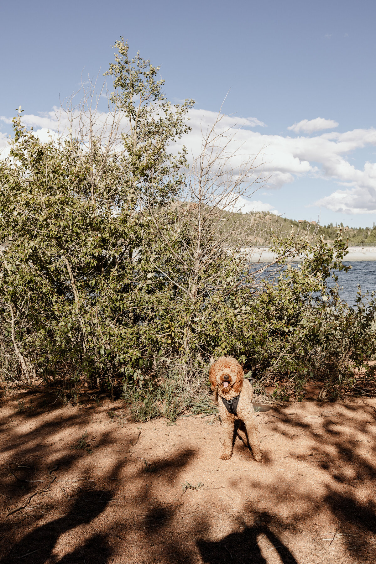 Pikes Peak Elopement Photographer - Jenn and Kyle