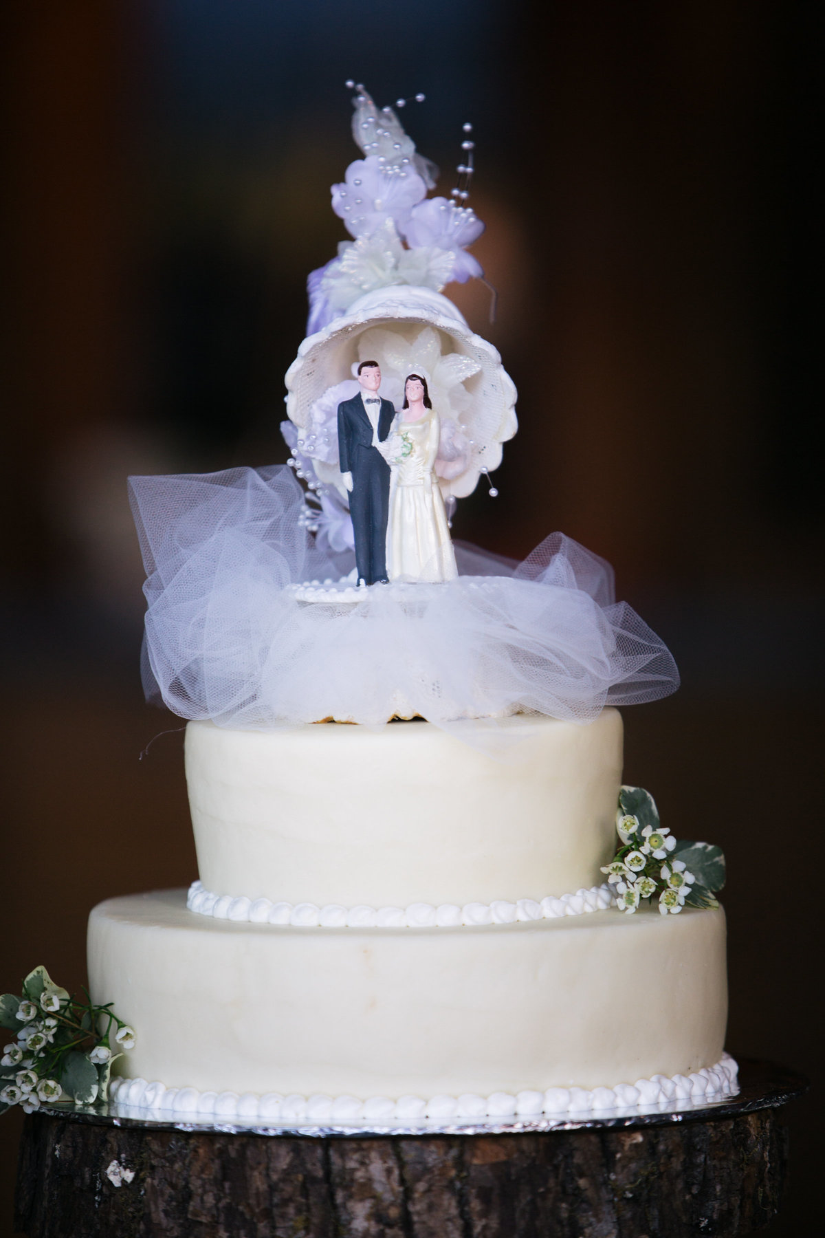 Wedding cake Lake Tahoe, CA