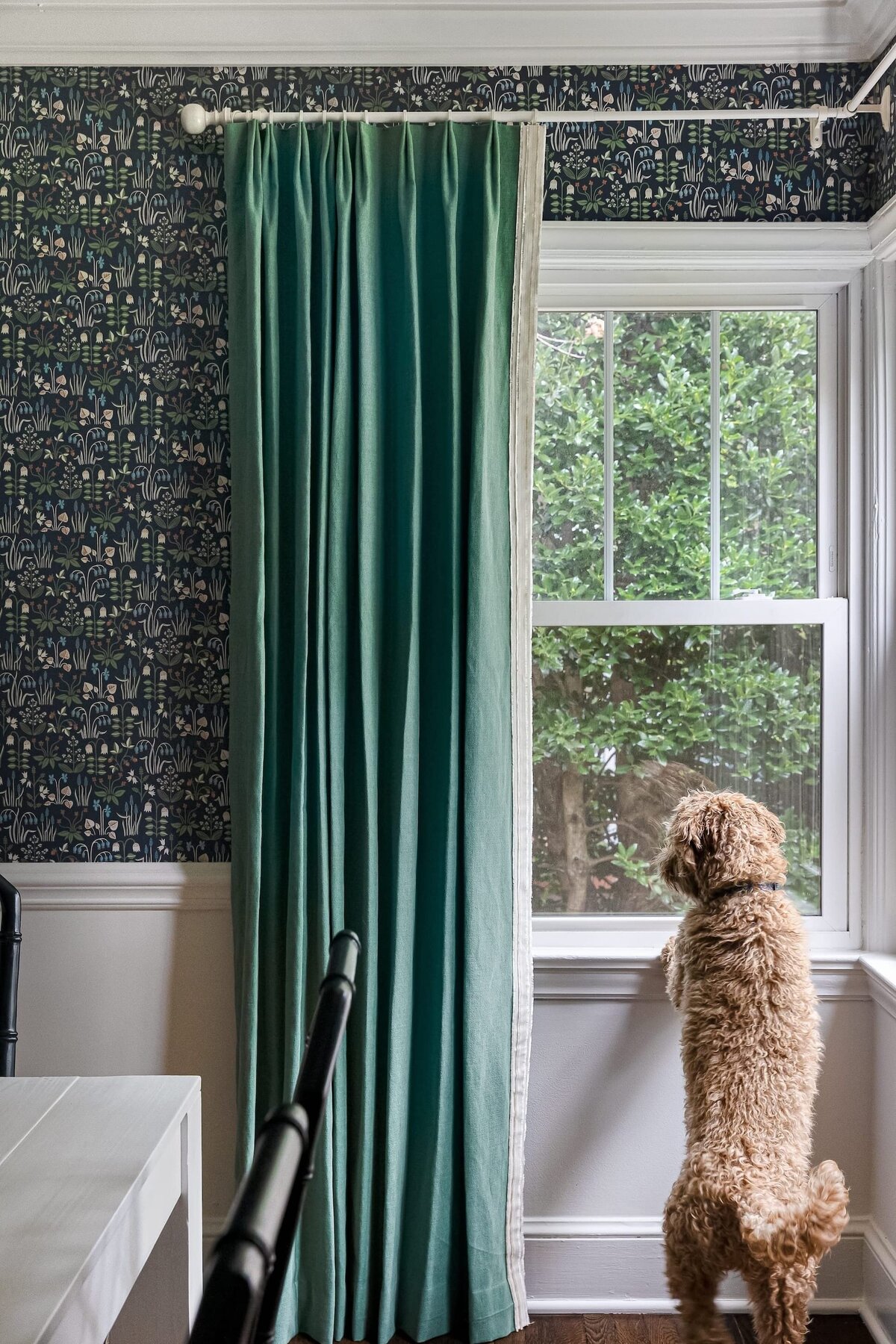 melinda chesson interiors chesson house dining room dog at window floral wallpaper green curtains
