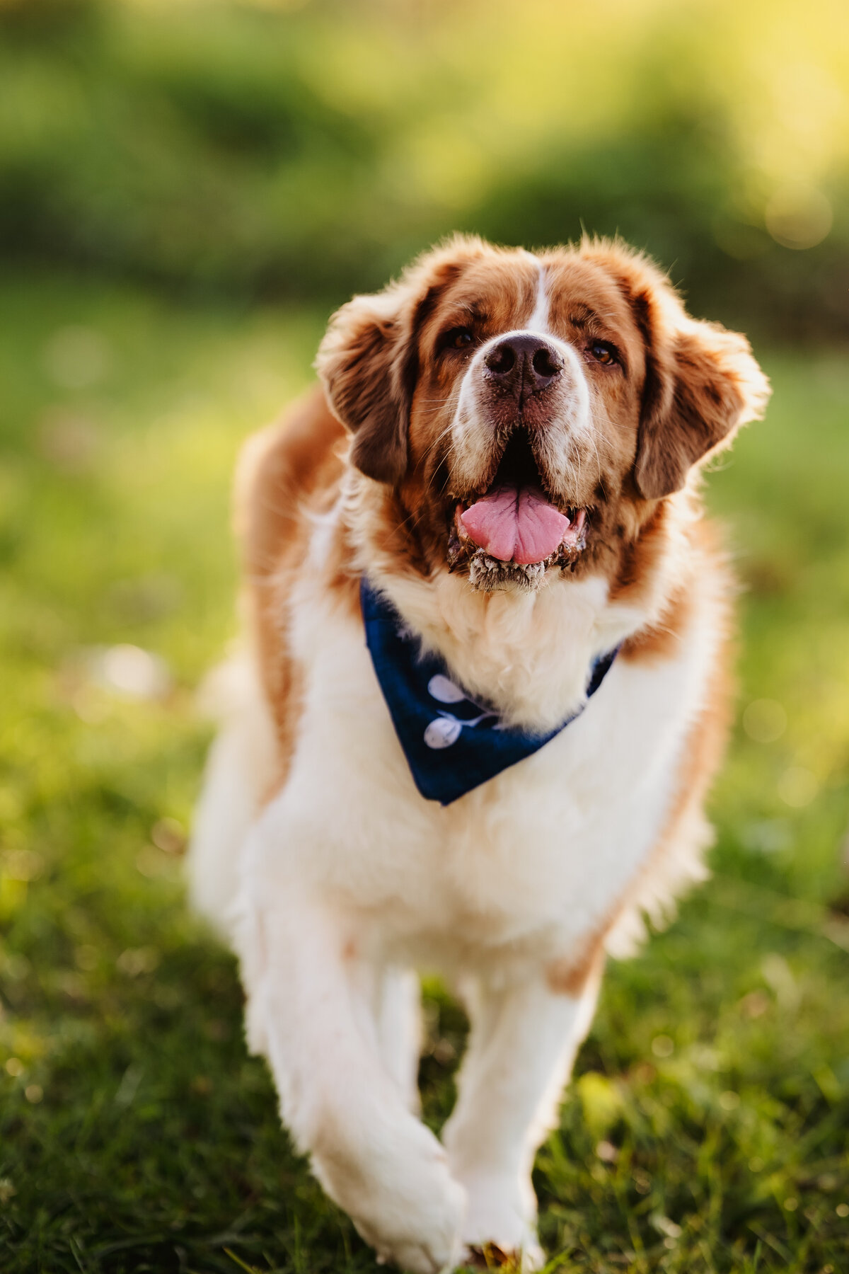 NicoleS_Fall2025_024