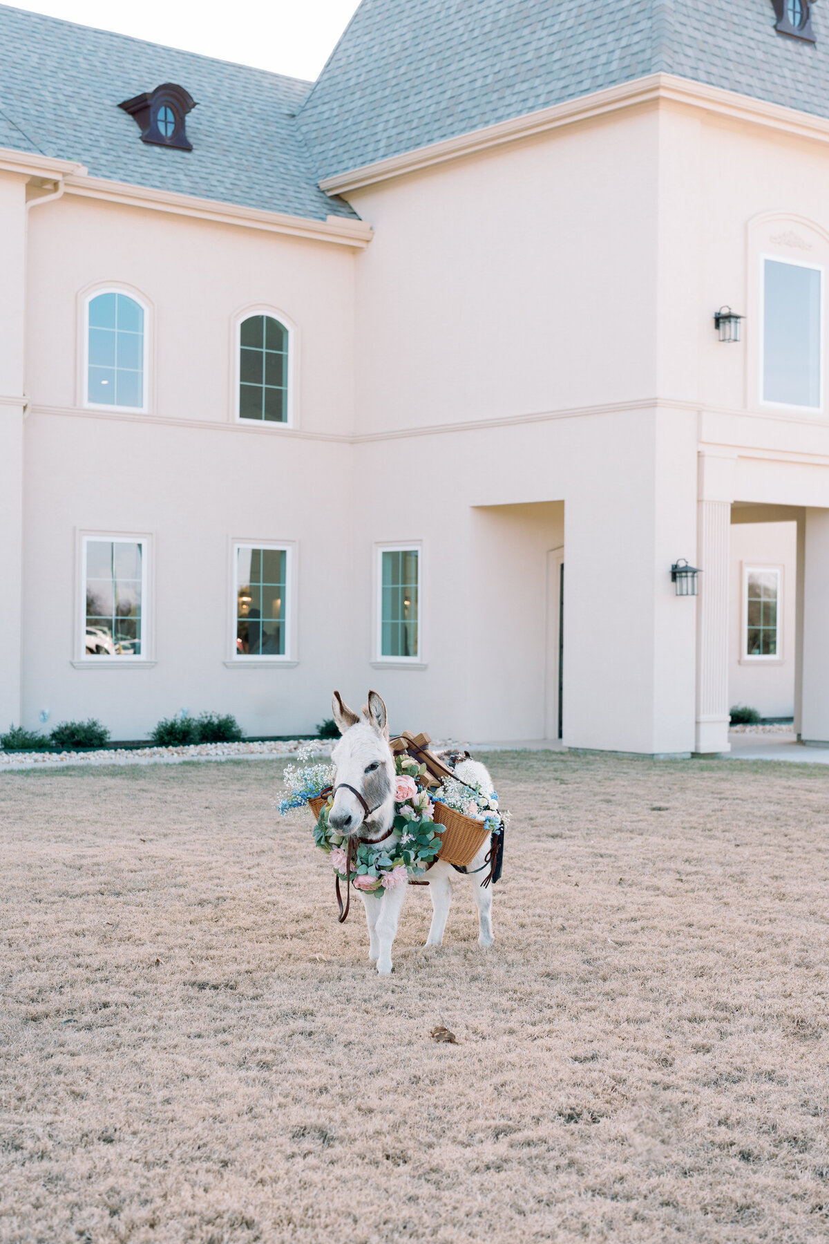 Chateau Joli-Rachel Sakakeeny Photography-230
