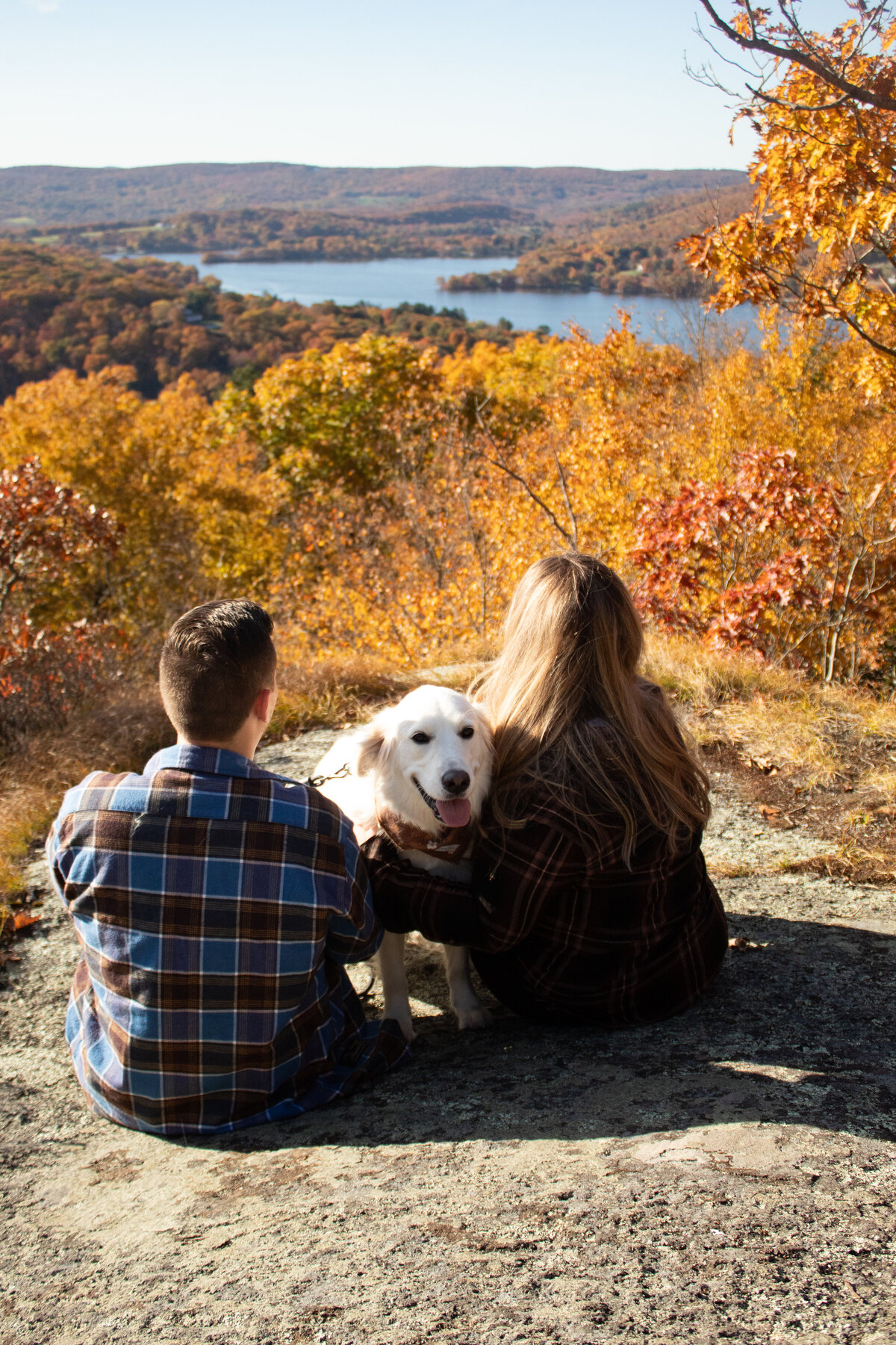 Surprise Engagement in Connecticut