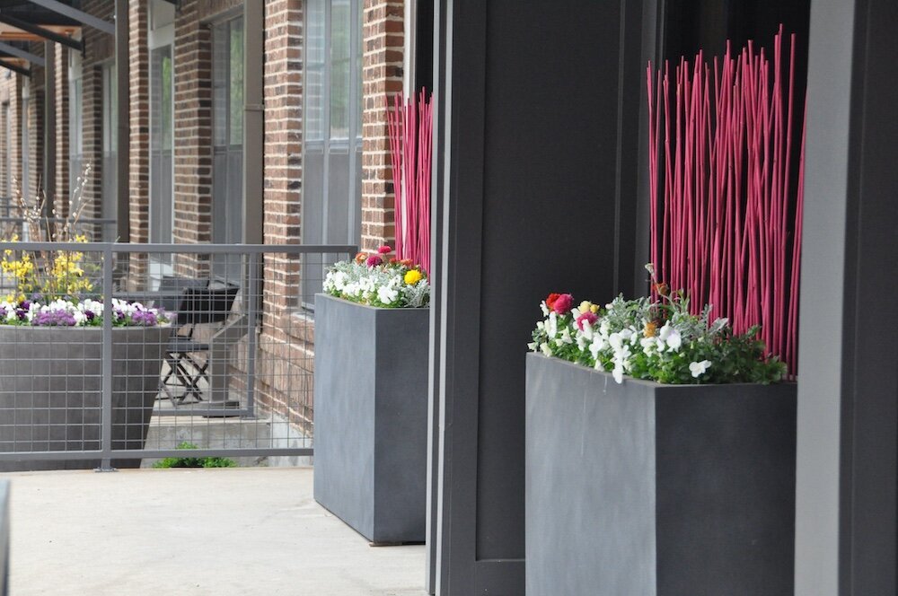 Commercial landscape company project in Kansas City: seasonal flowers showcase